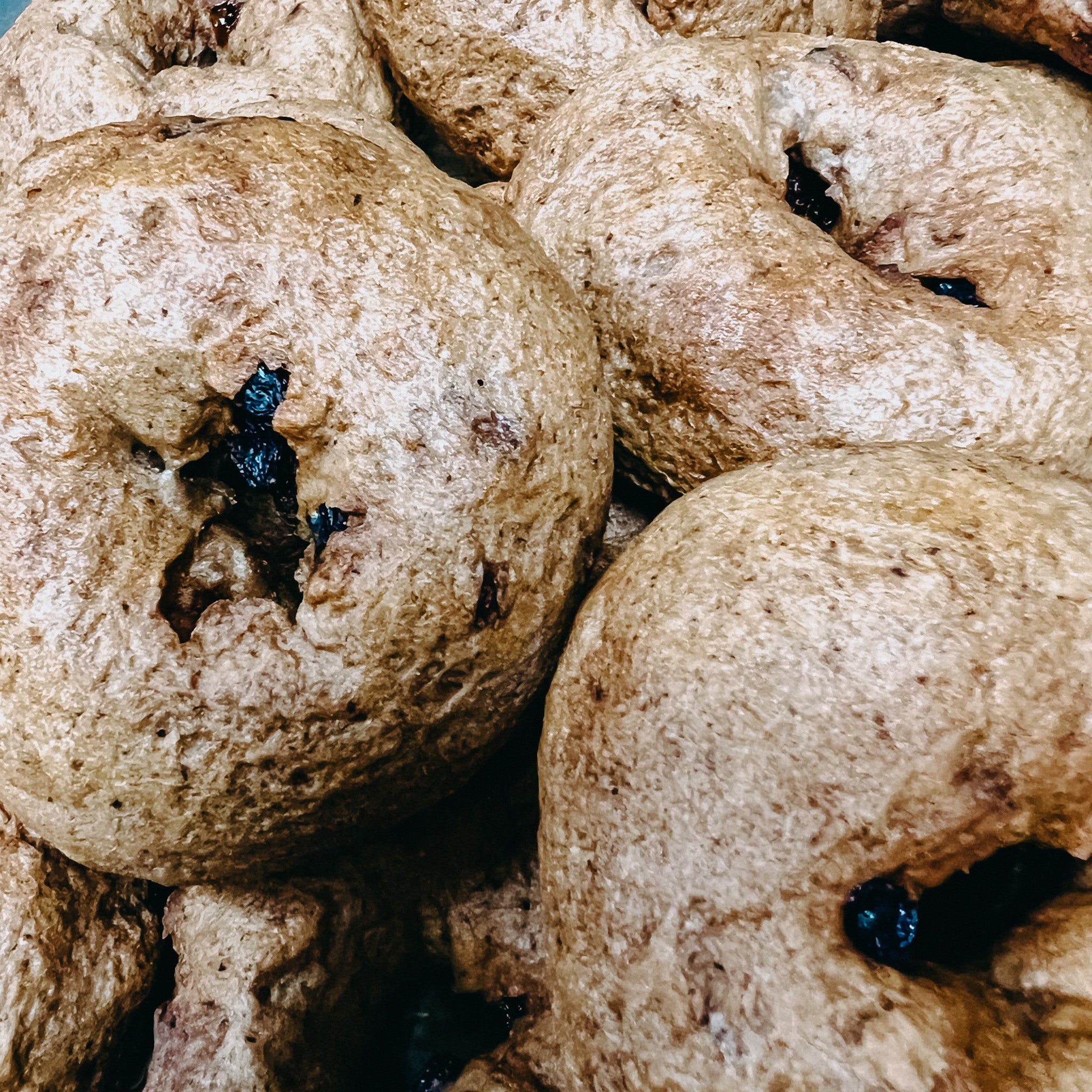 cinnamon raisin bagel